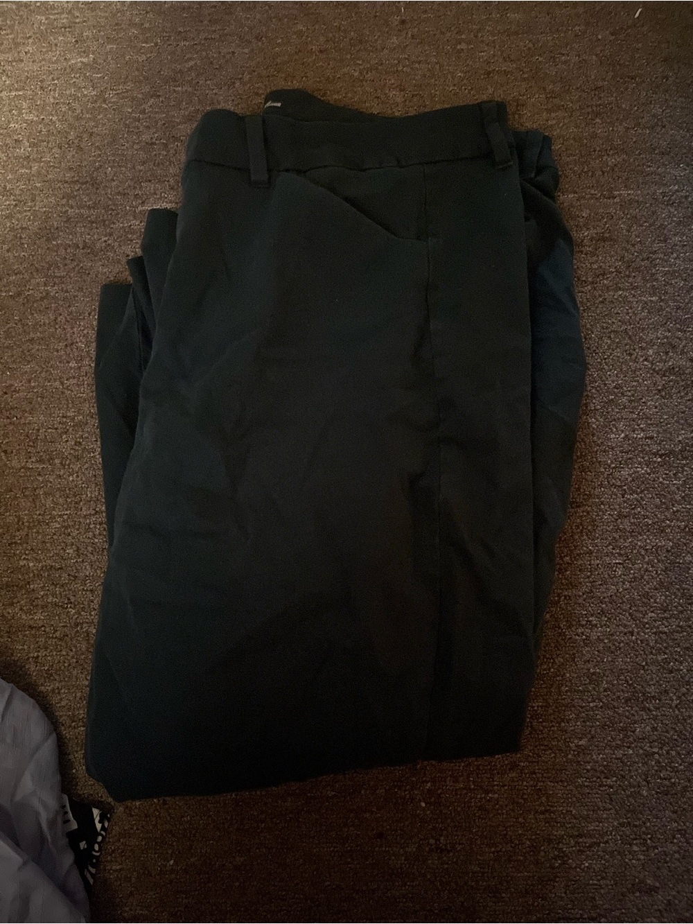 Women’s dress pants